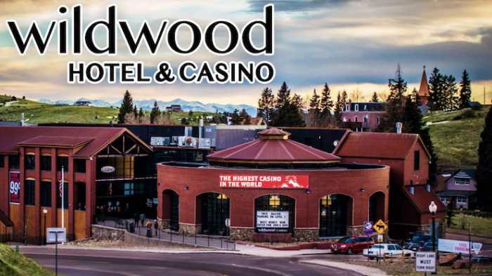 Wildwood Casino Cripple Creek, Colorado